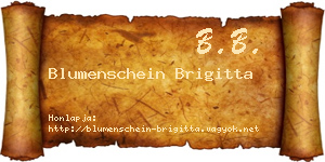 Blumenschein Brigitta névjegykártya
